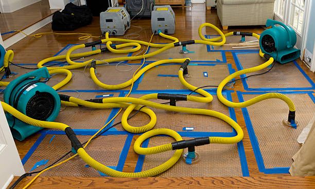 Professional Basement Flood Cleanup technician working in Wasco, IL